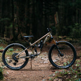 Knolly Endorphin Deore MX29 Champagne / X-Small Bikes - Mountain